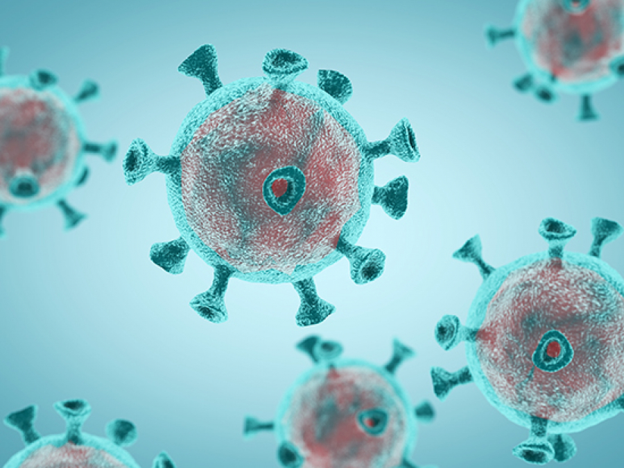 virus