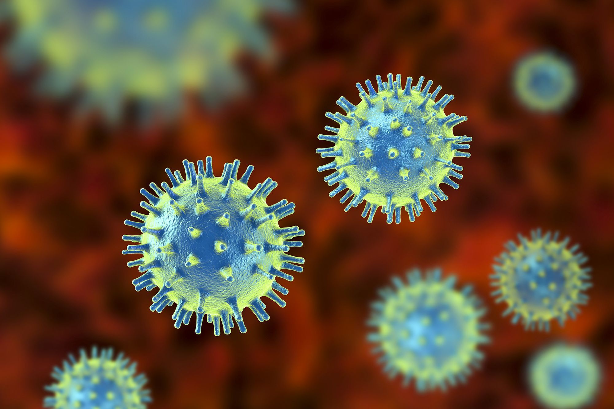 virus