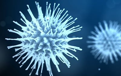 virus